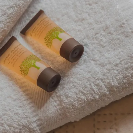 A Casa Della Ely-2 Bedrooms And 2 Bathrooms 公寓 的里雅斯特